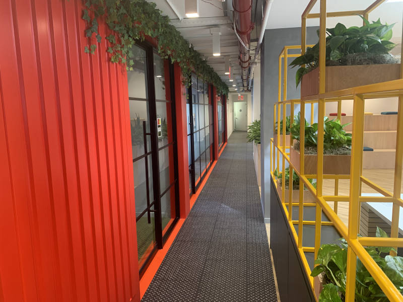 a hallway with plants and windows