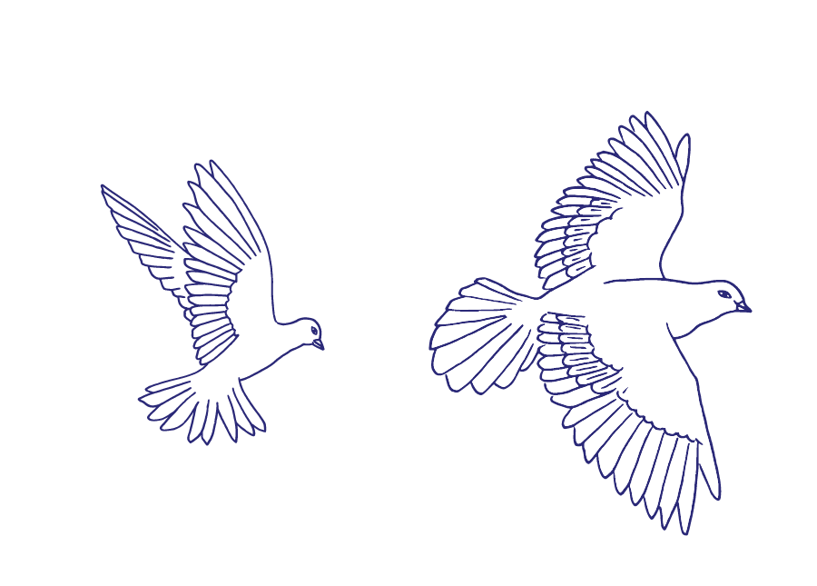 a white doves flying in the sky