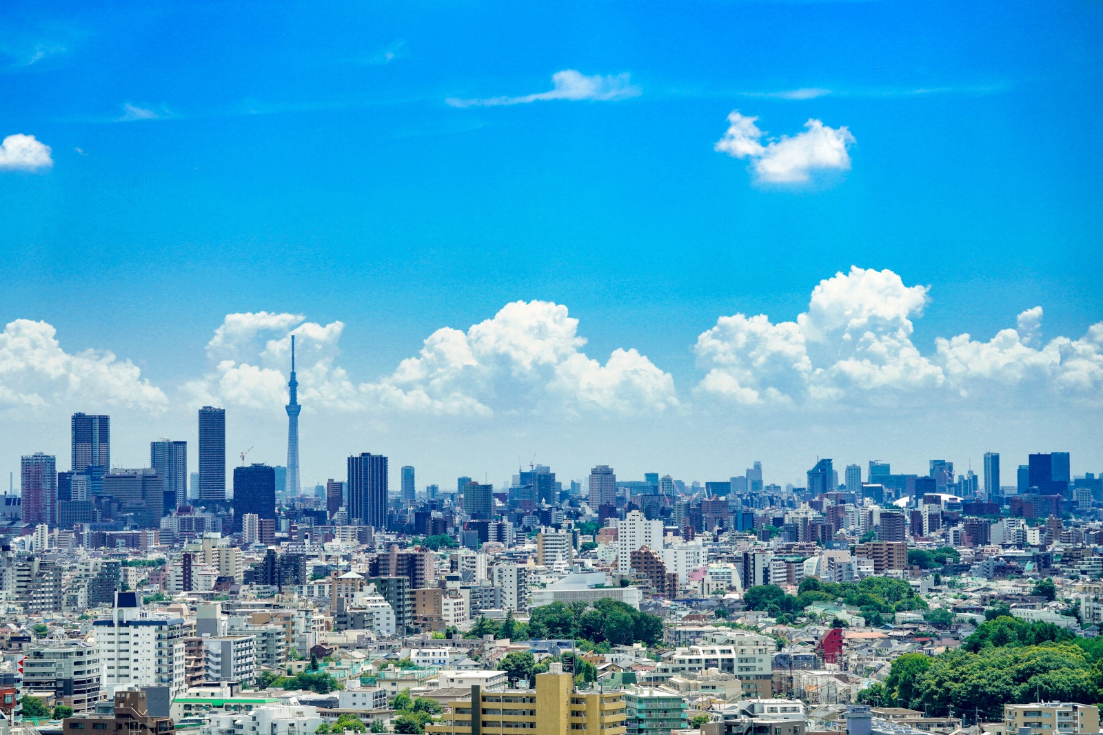 a city with many tall buildings and trees