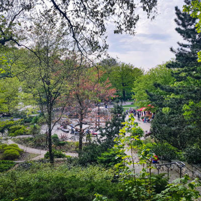 a group of people in a park