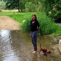 a woman standing in a stream with a dog