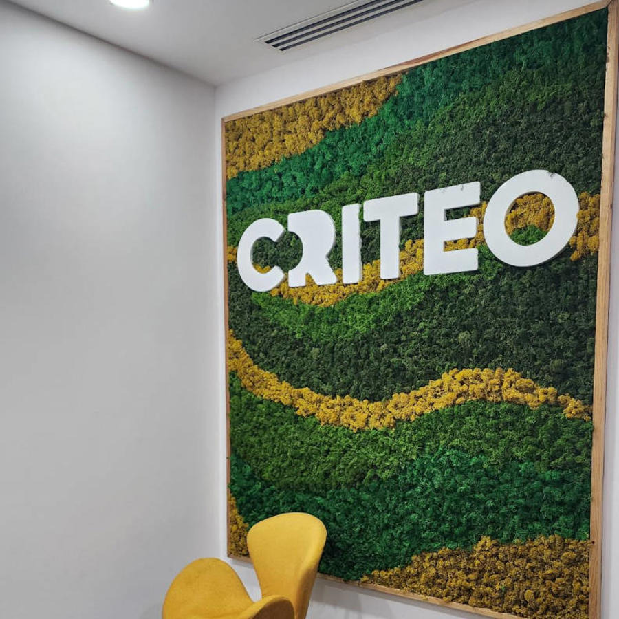 a green and yellow wall with white letters on it