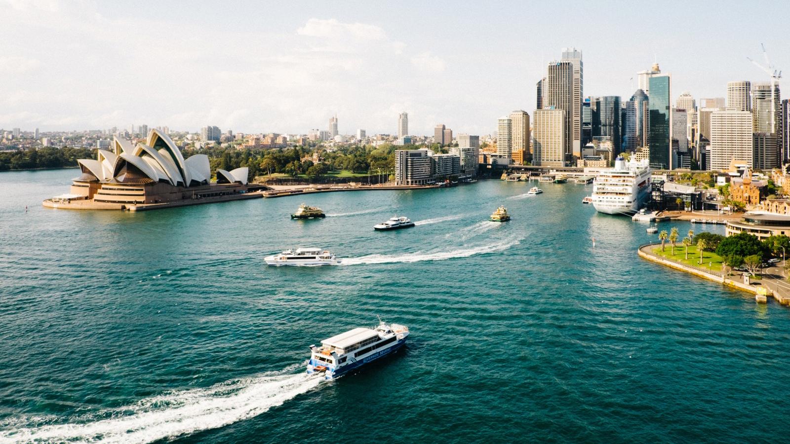 boats in a body of water with boats in it