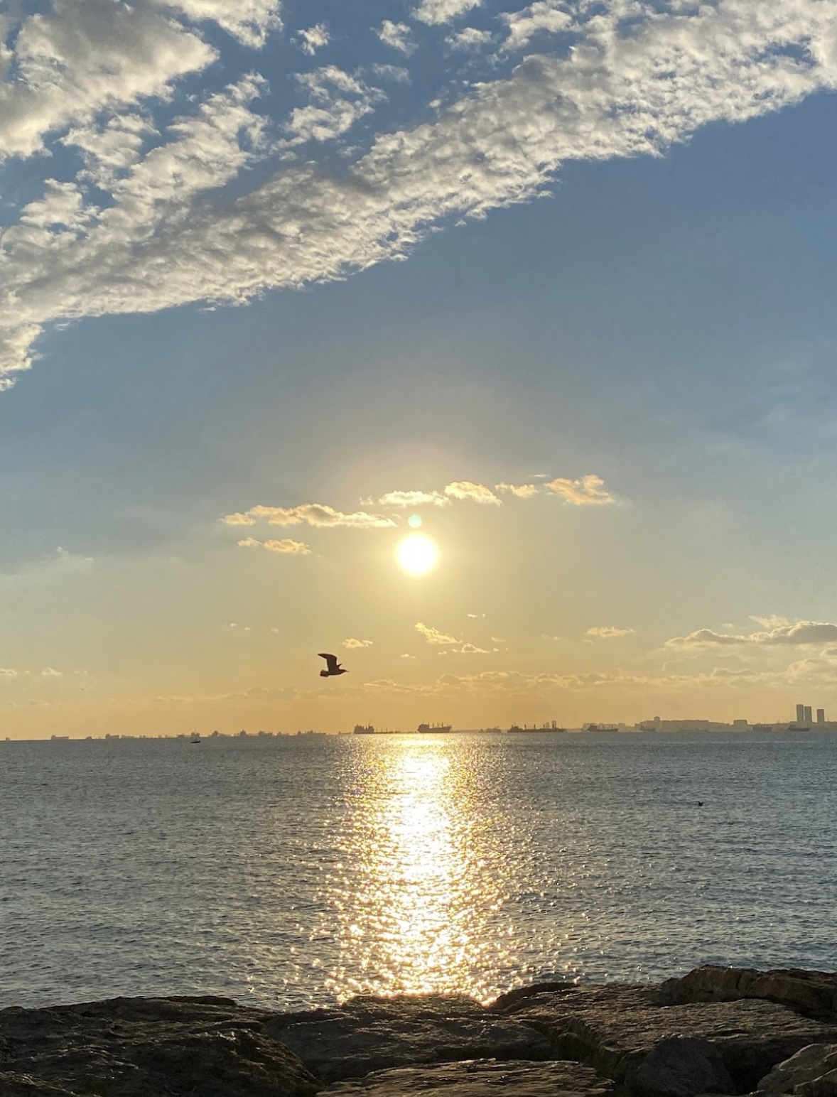 a bird flying over water